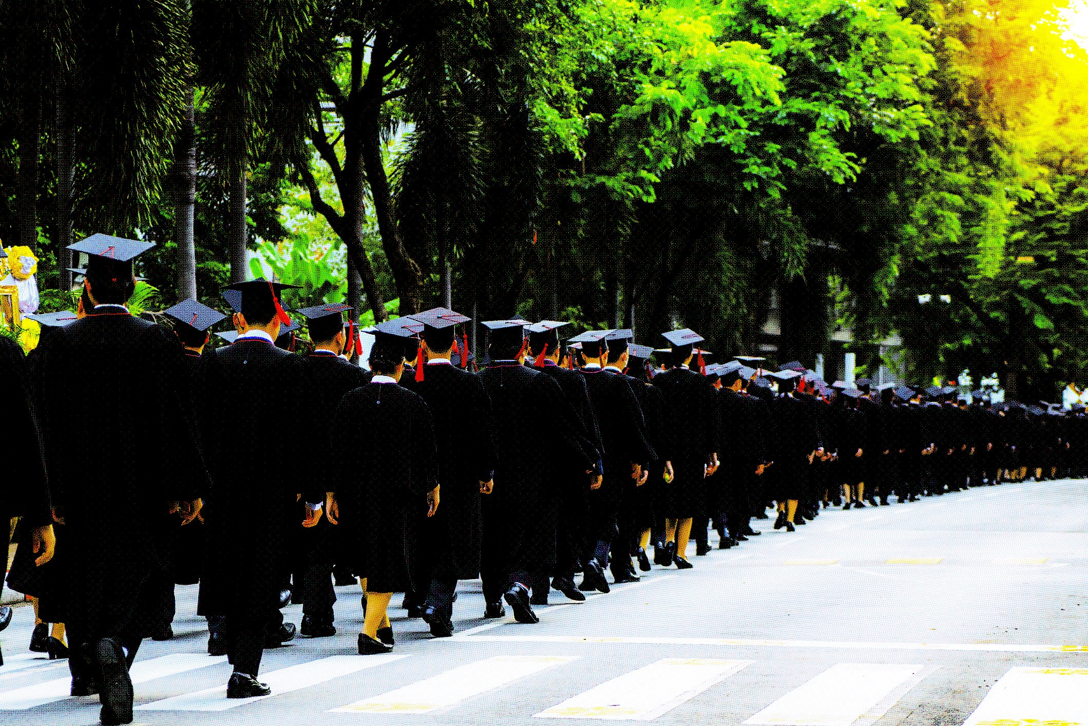 Rear view of graduates in caps and gowns
