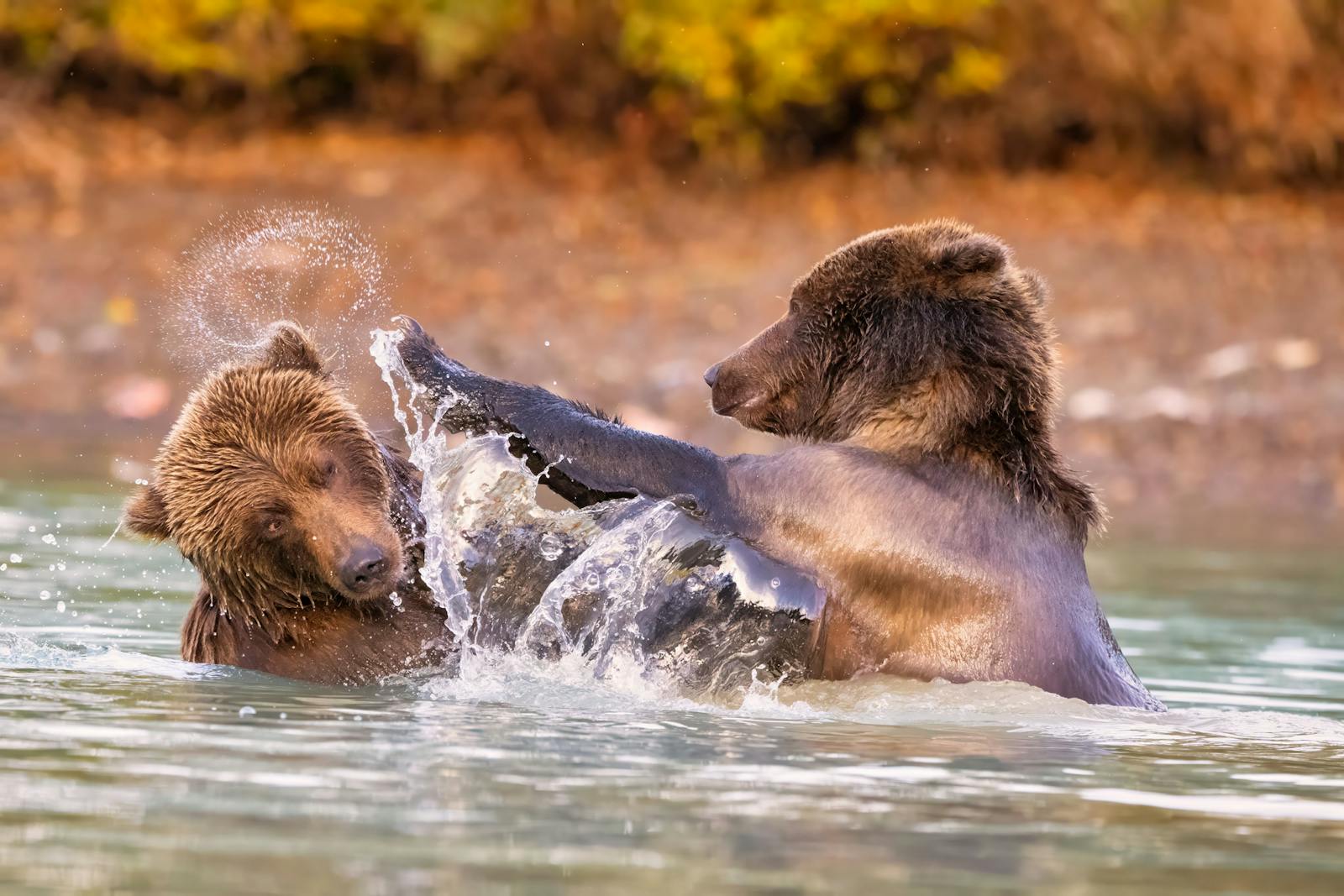 US stocks swoon as AI trade takes a beating thumbnail