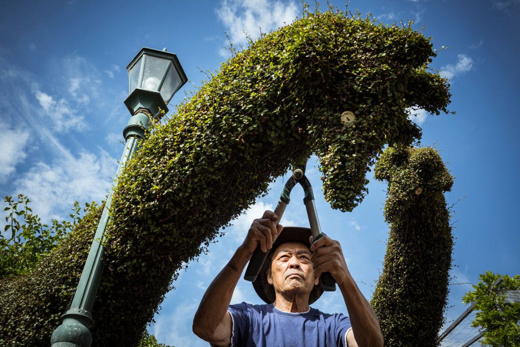 In 2024, you hedge your stocks with stocks — not bonds thumbnail