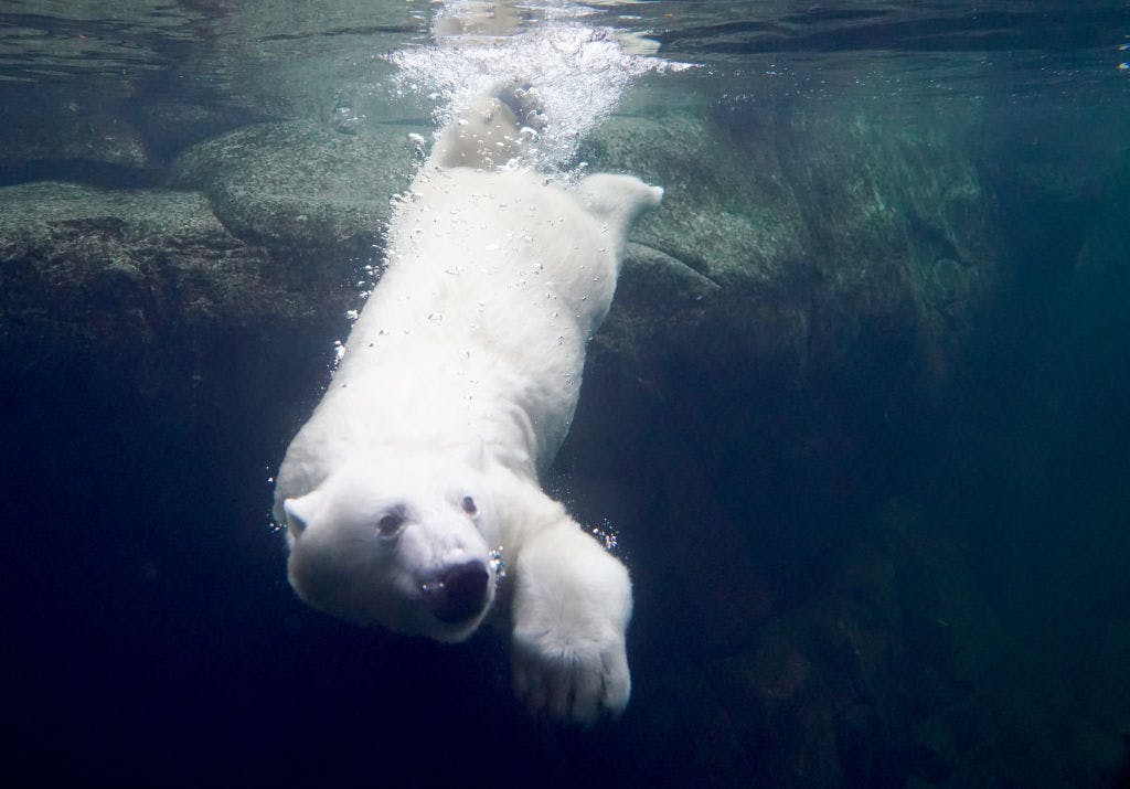 Stocks slump after Trump tariff talk sparks huge reversal thumbnail