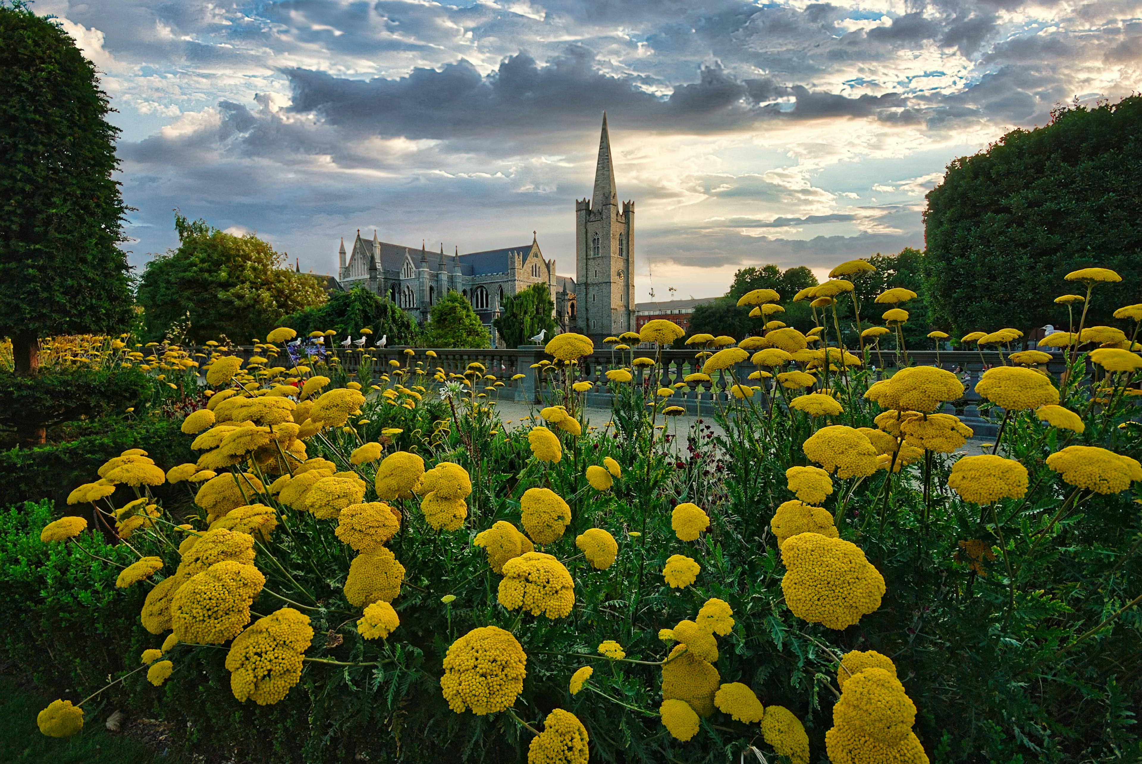 St. Patrick's Park, Dublin, Ireland