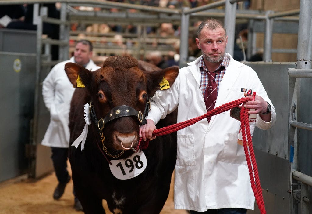 Market wrap: the S&P 500 booked its 30th record high of the year, led by tech thumbnail