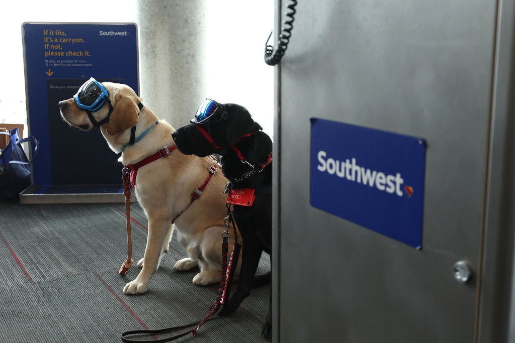 Southwest’s cost-cutting spree now includes a big gamble on oil prices thumbnail
