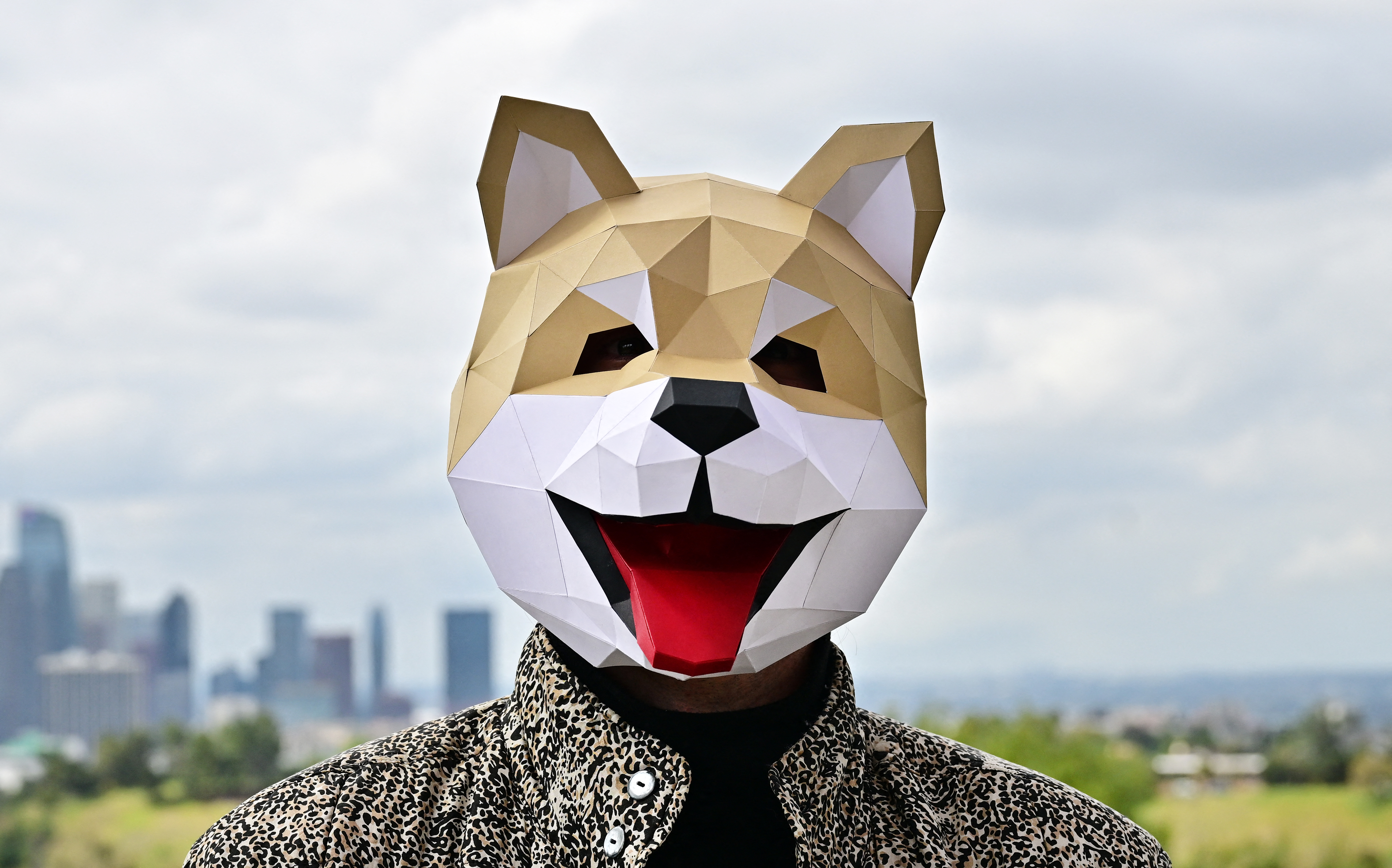 US-JAPAN-INTERNET-CRYPTO-MEME-DOGE-WOW