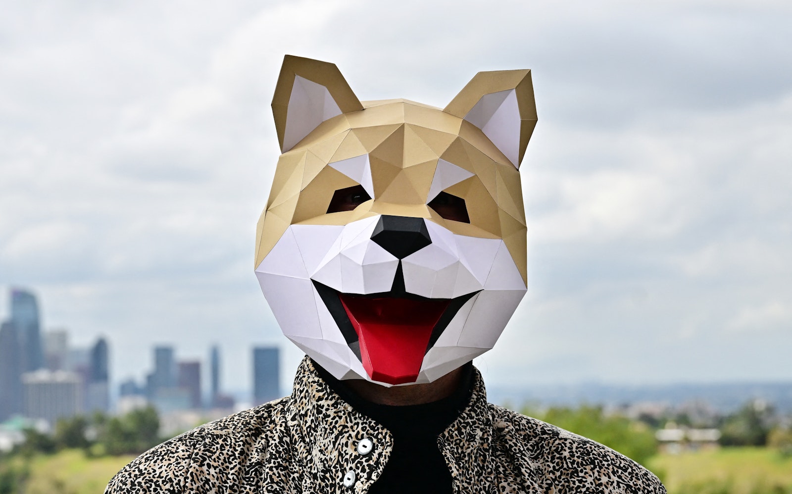 Dogecoin gets its day in the corporate treasury conversation - Sherwood News