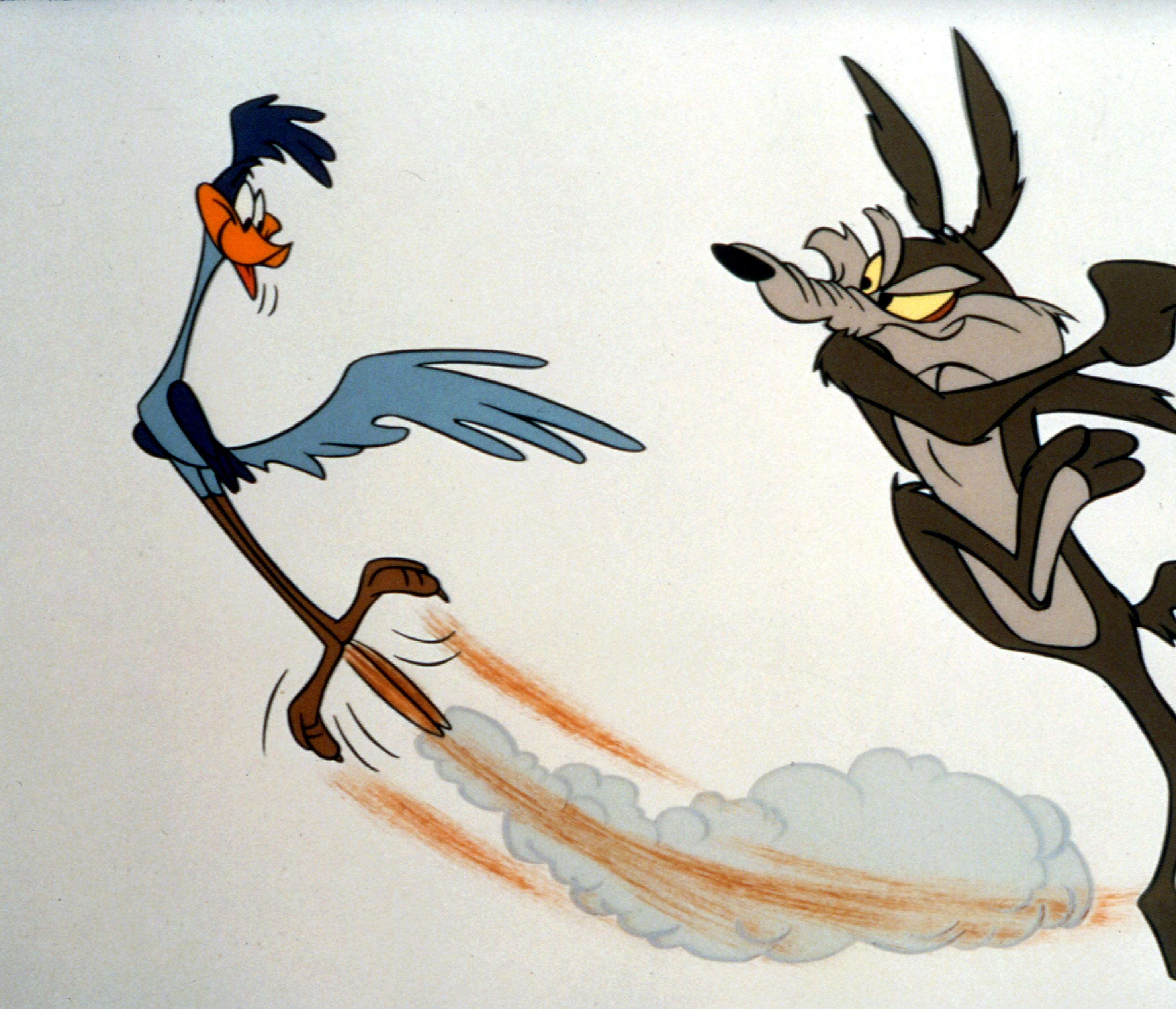 Roadrunner and Wile E Coyote