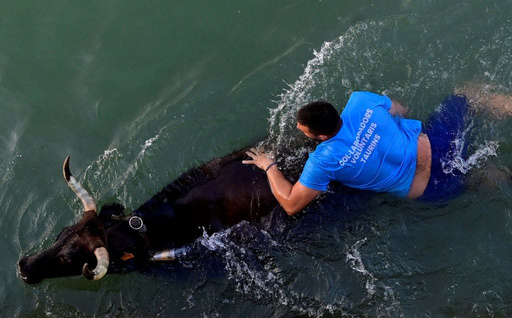 US stocks shrug off Trump’s tariff pledge to finish higher thumbnail