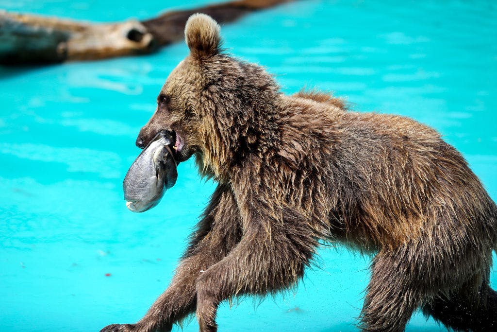 US stocks crumble on Friday to end worst week since 2020 thumbnail