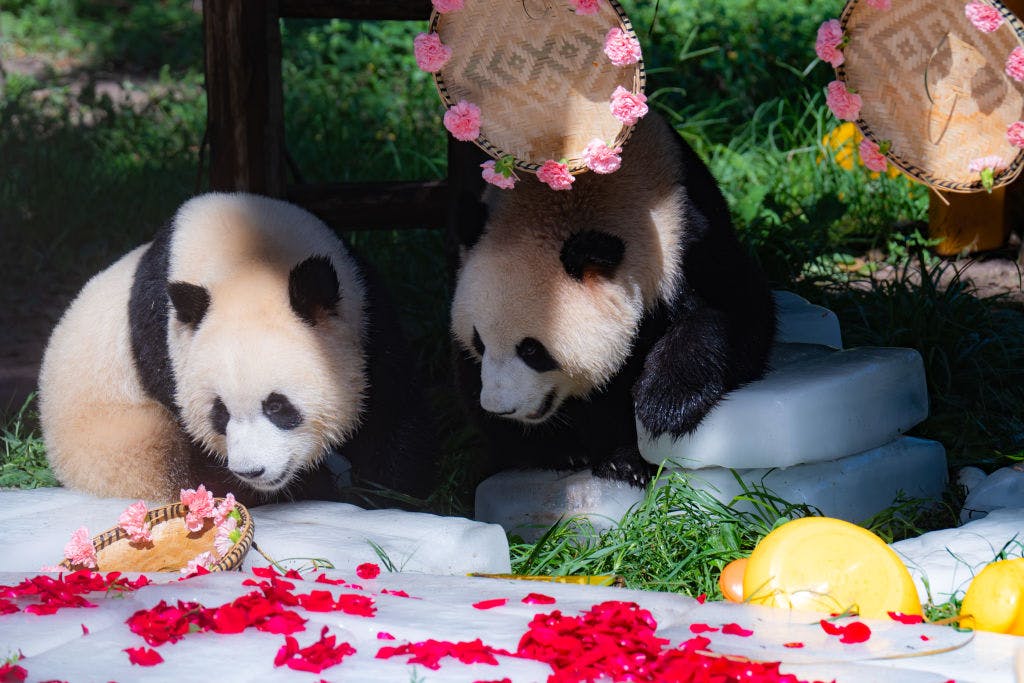 US stocks slump into the weekend on turmoil with tariffs and tech thumbnail