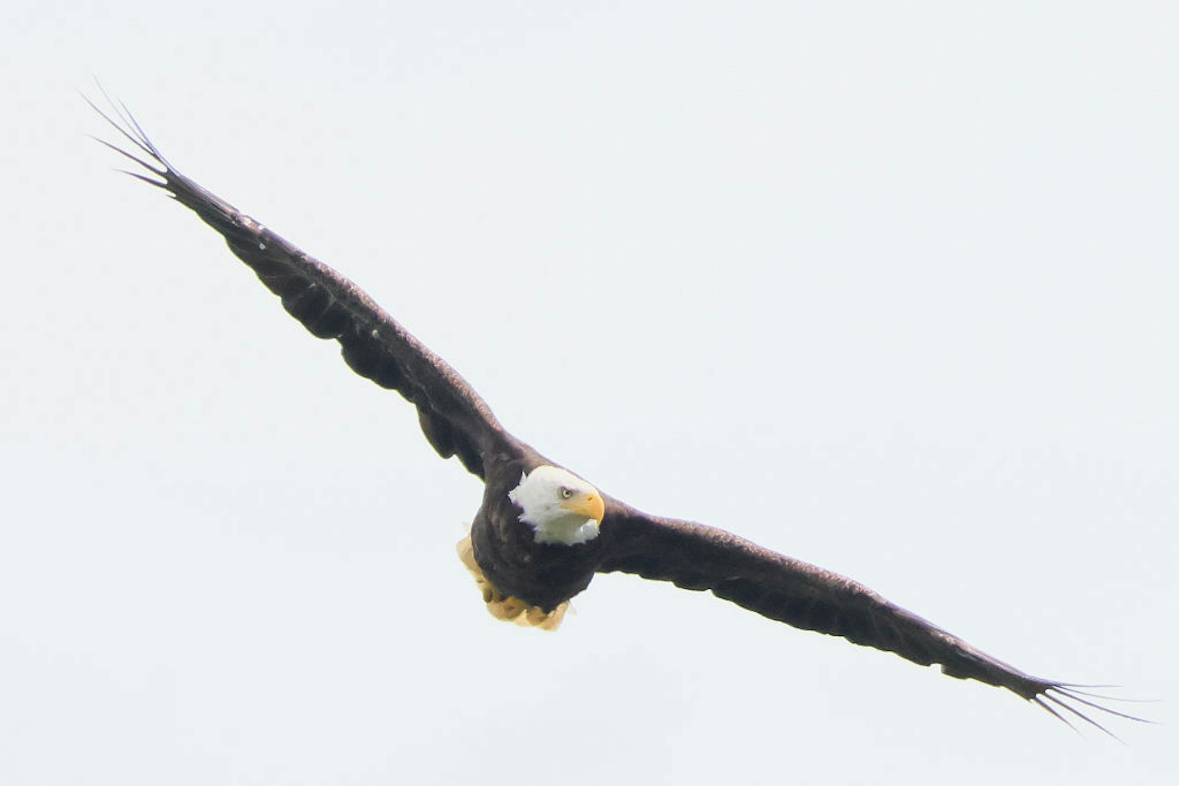 General Views In New York