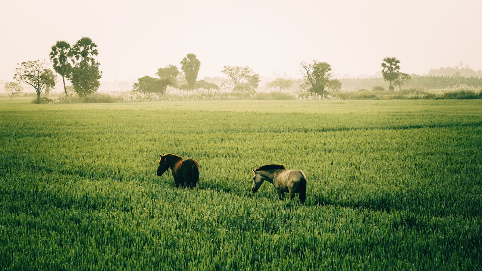 S&P 500 logs first weekly loss in six weeks; Big Tech gains thumbnail