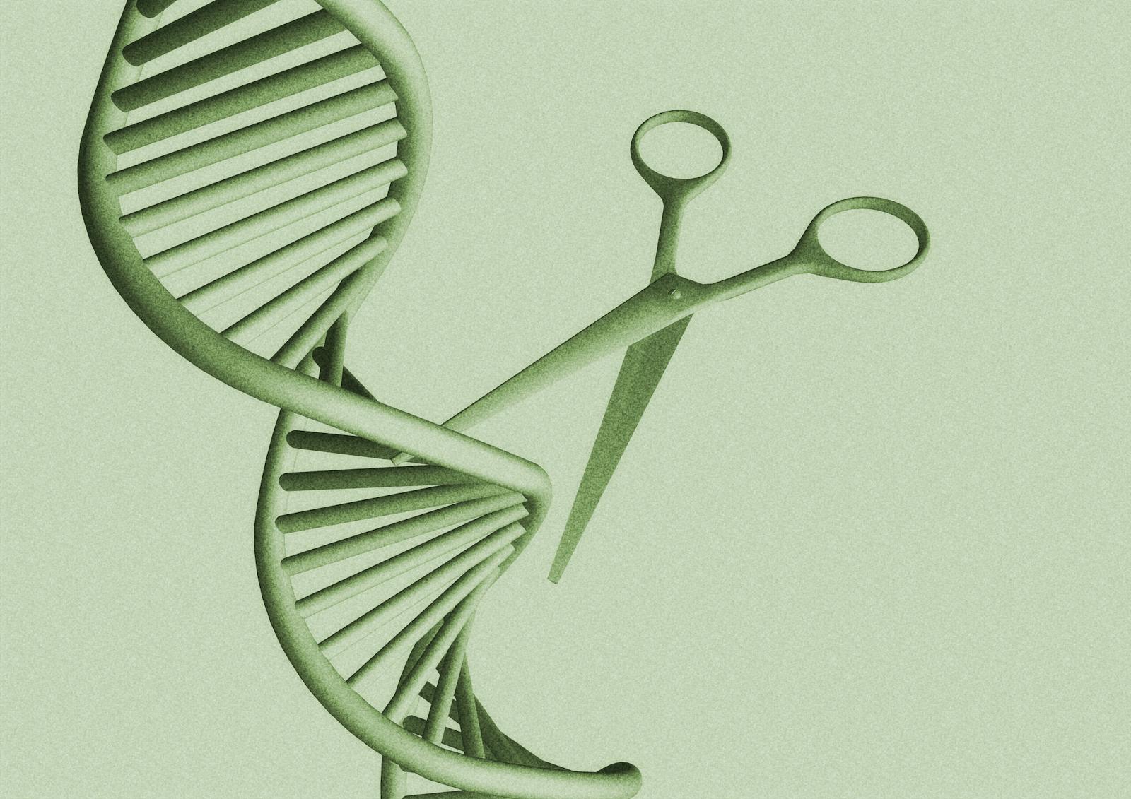 CRISPR shares fall after gene-editing company’s Q2 falls short of estimates thumbnail