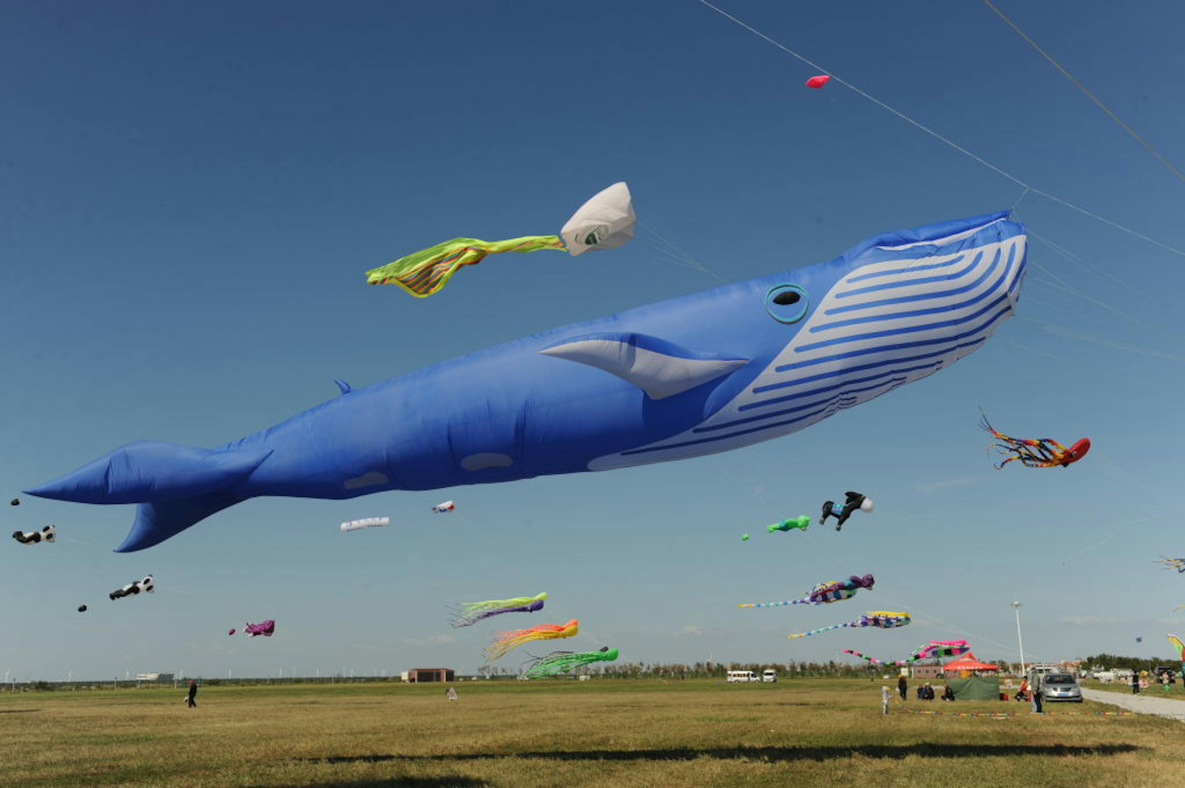 Kite Championship Held In Shandong