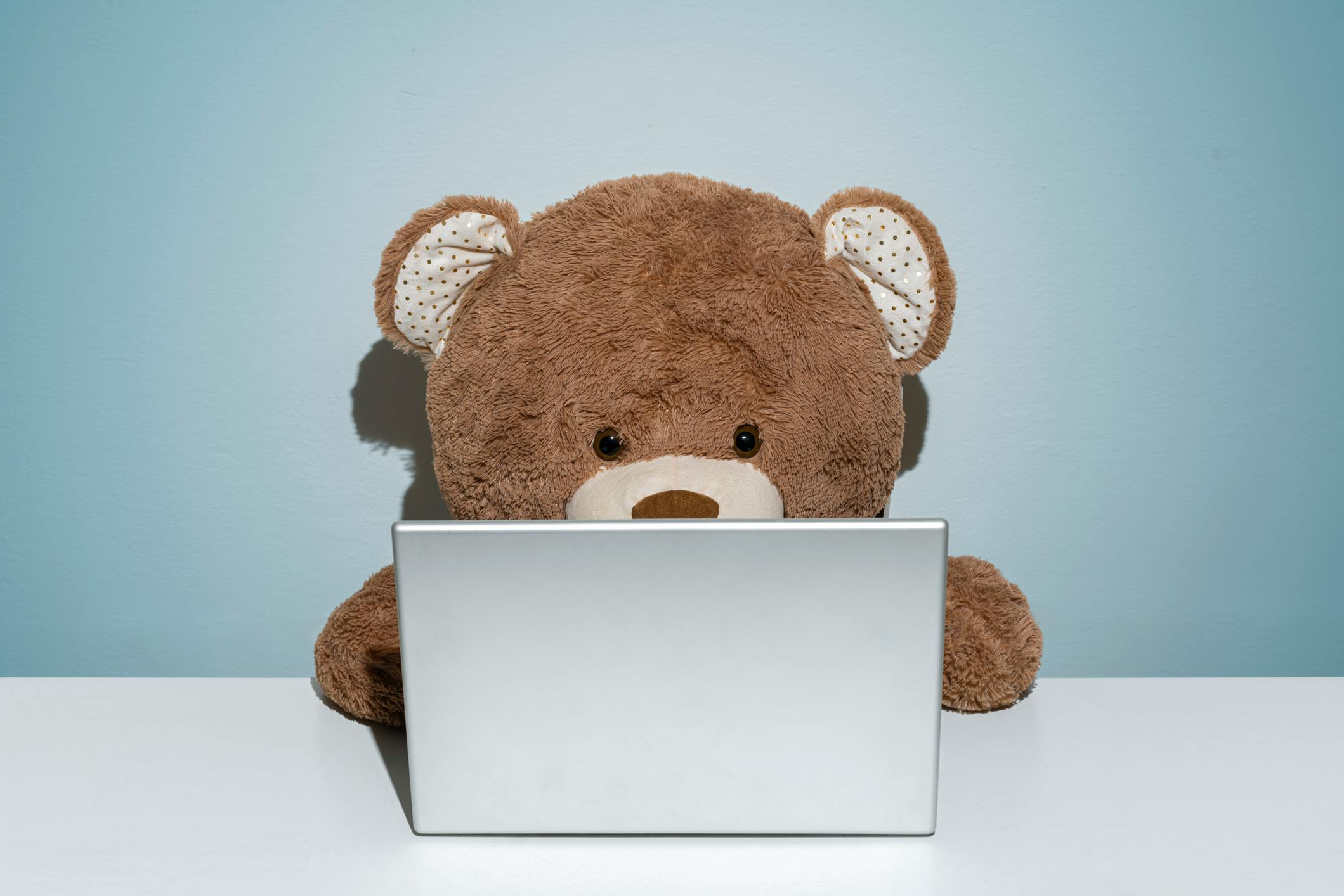 Teddy bear using laptop