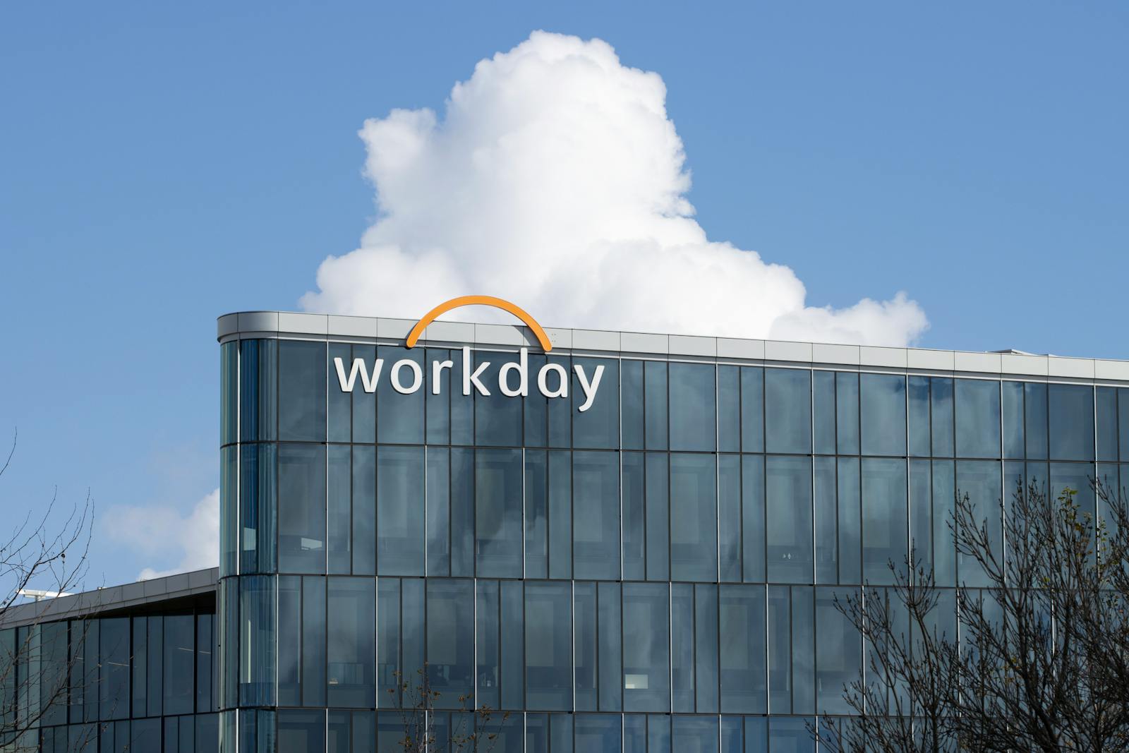 Workday rallies on positive comments from new investor Elliott, buyback boost, and analyst upgrade thumbnail