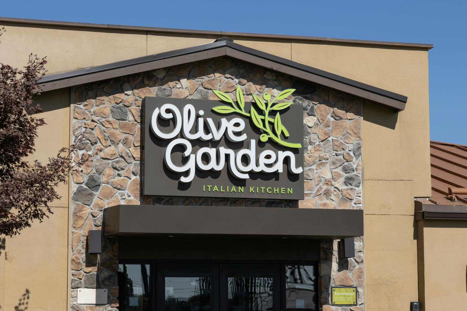 Olive Garden parent company Darden dips after serving up a Q1 earnings miss thumbnail