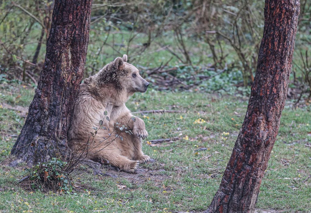 Stocks slip slightly ahead of US and China trade negotiation talks over the weekend thumbnail