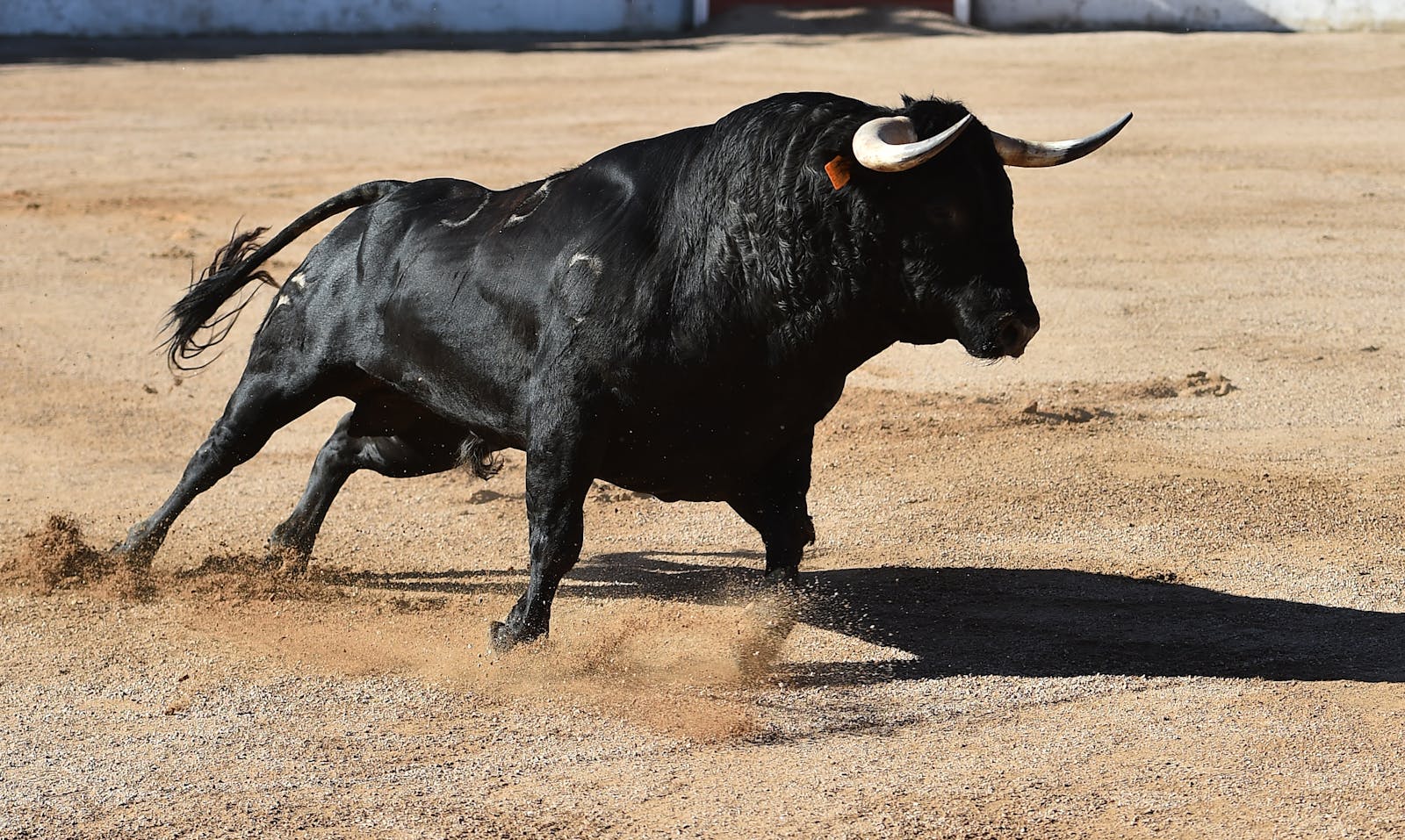US stocks surge on solid earnings and dearth of negative trade headlines thumbnail
