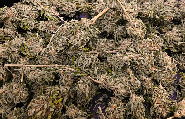 People are smoking more weed than ever, so why have pot companies been such lousy investments? thumbnail