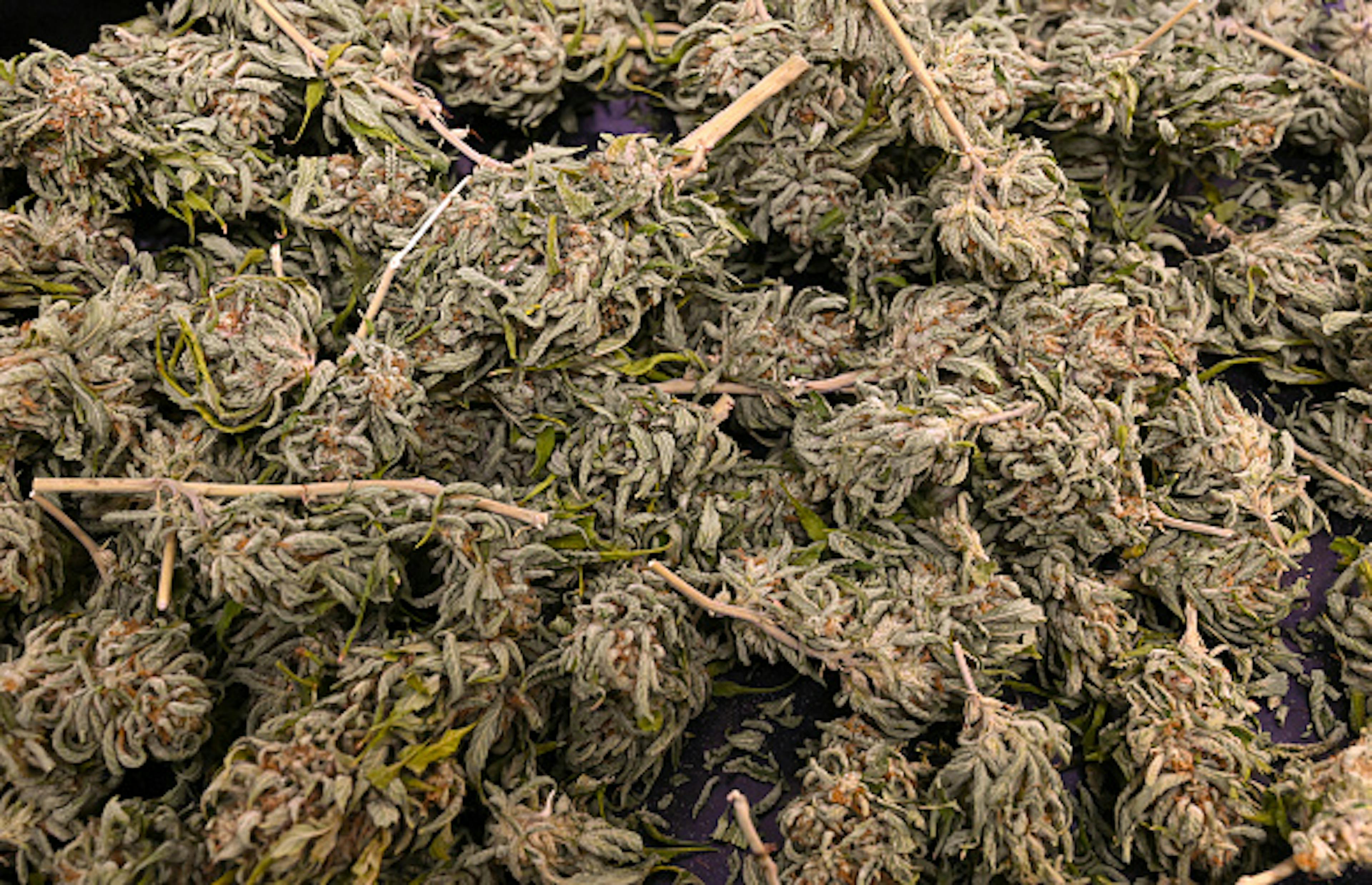 Juniper Jill Cannabis Co.