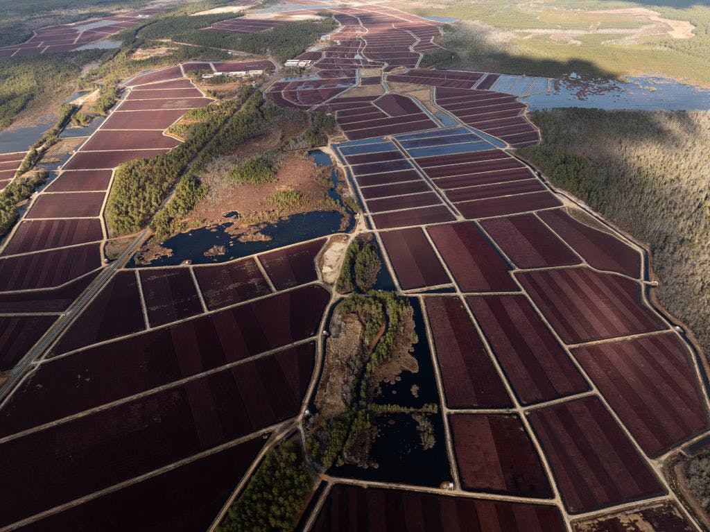 Farmers are thrilled about potential Trump tax and regulation cuts thumbnail