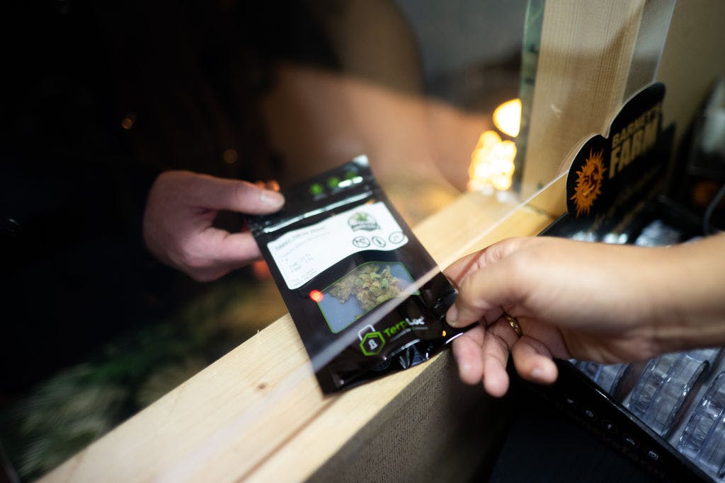 Canadian weed companies fall after Germany elects cannabis-hostile chancellor thumbnail