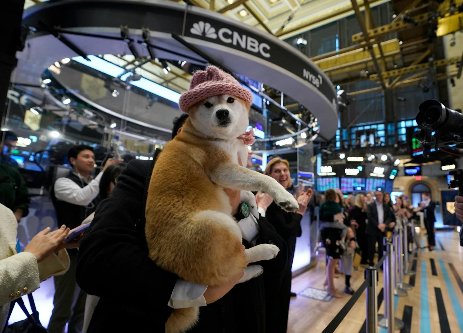 DeFi Dev Corp. launches partnership with dogwifhat, coin surges thumbnail