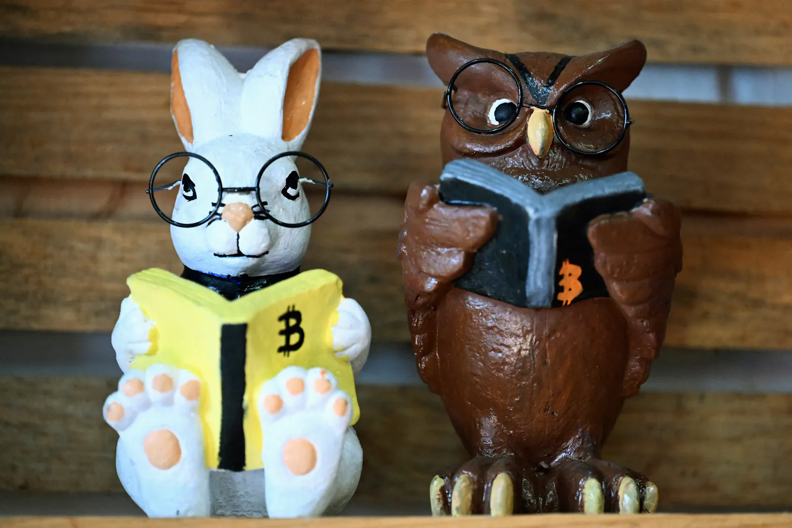 Have we reached the bitcoin bottom yet? Many experts don’t think so. thumbnail