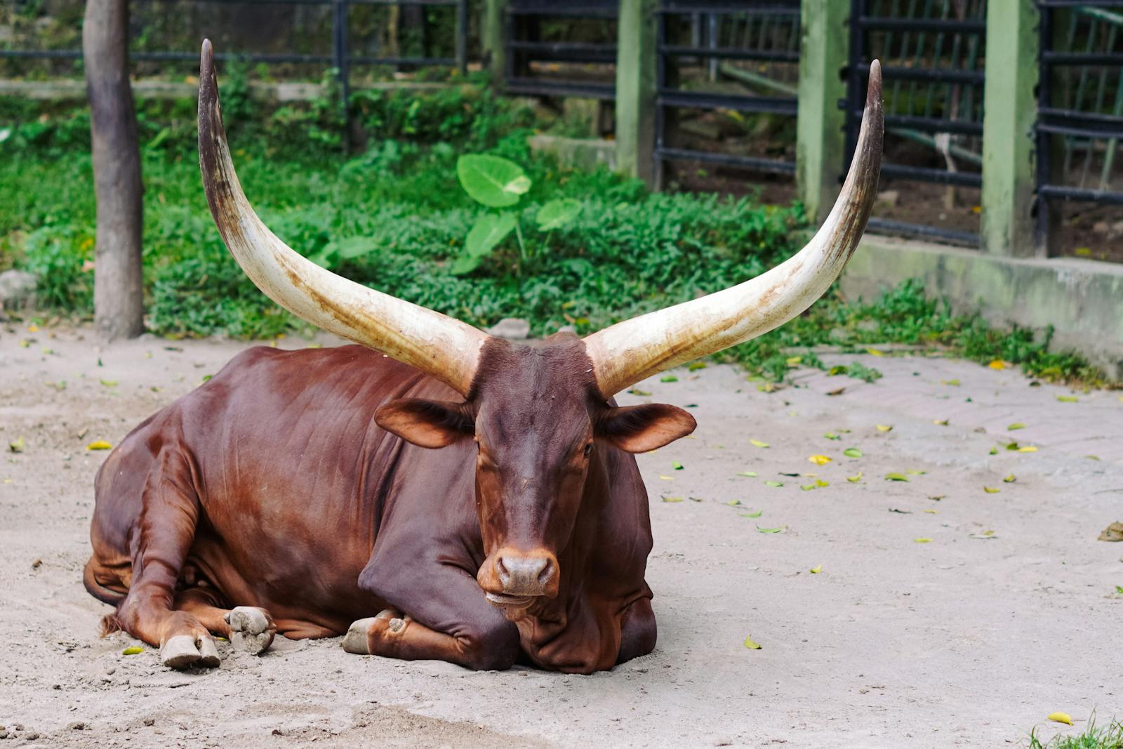 US stocks tick higher on positive feedback from trade talks thumbnail