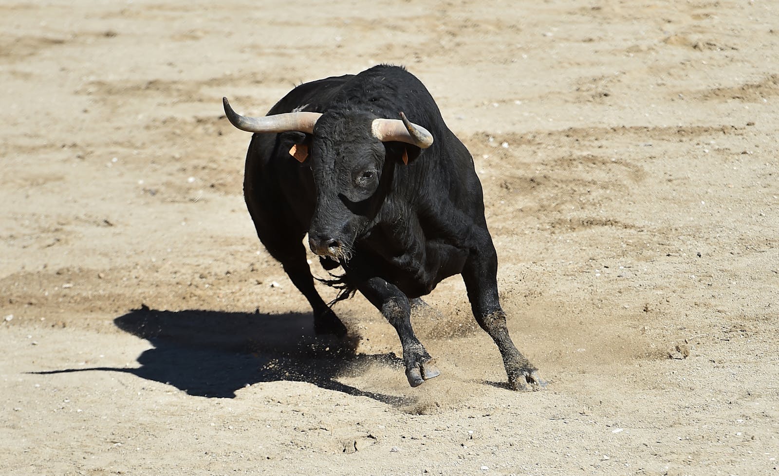 Stocks close higher after another solid week of earnings thumbnail