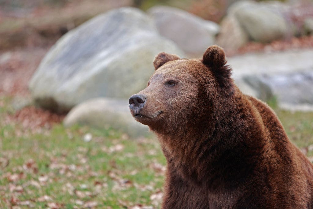 S&P 500’s losing streak extends to three thumbnail