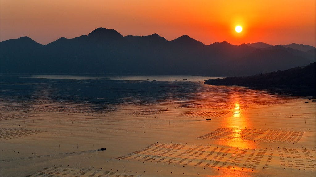 The Magnificent 7 are finally acting as a group — besides Apple, they’re all tumbling together thumbnail