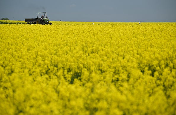 S&P 500 finishes flat on December rate cut doubts, but tech bolsters Nasdaq 100 thumbnail