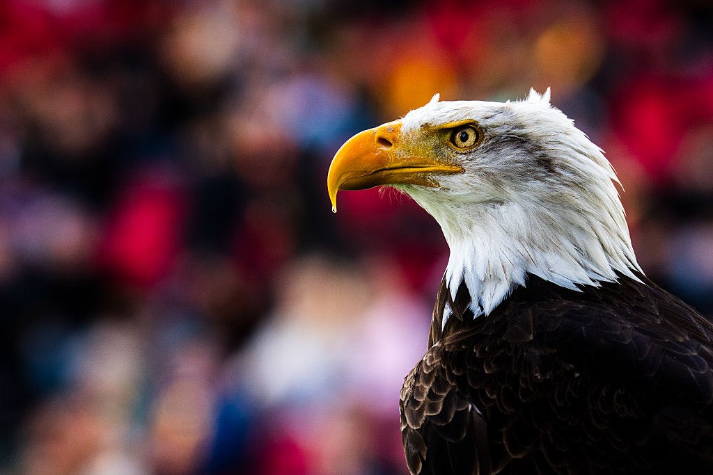 Institutional investors are the most bullish since the February peak in stocks, and no longer think a trade war is the biggest risk out there thumbnail