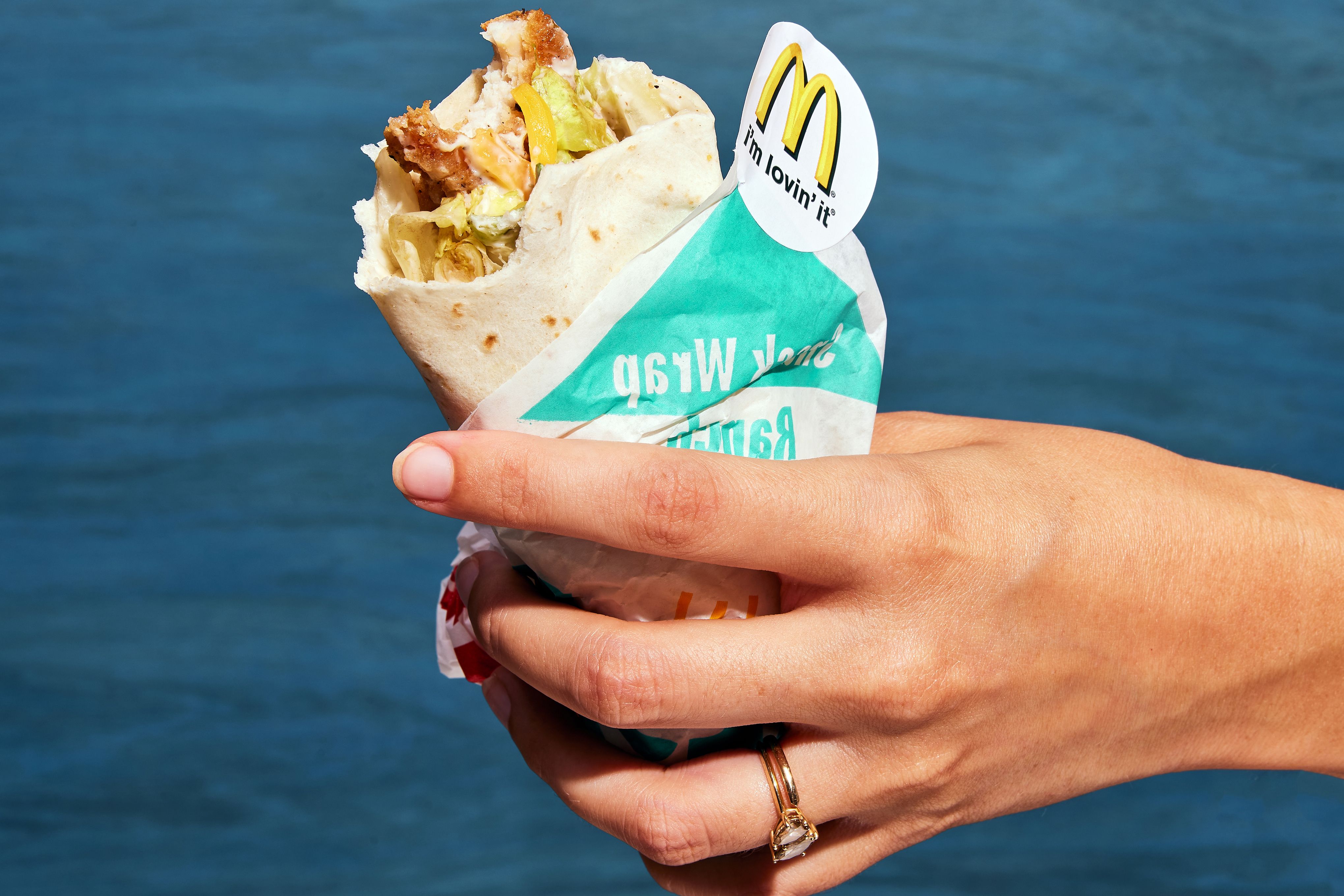 Chicken snack wraps