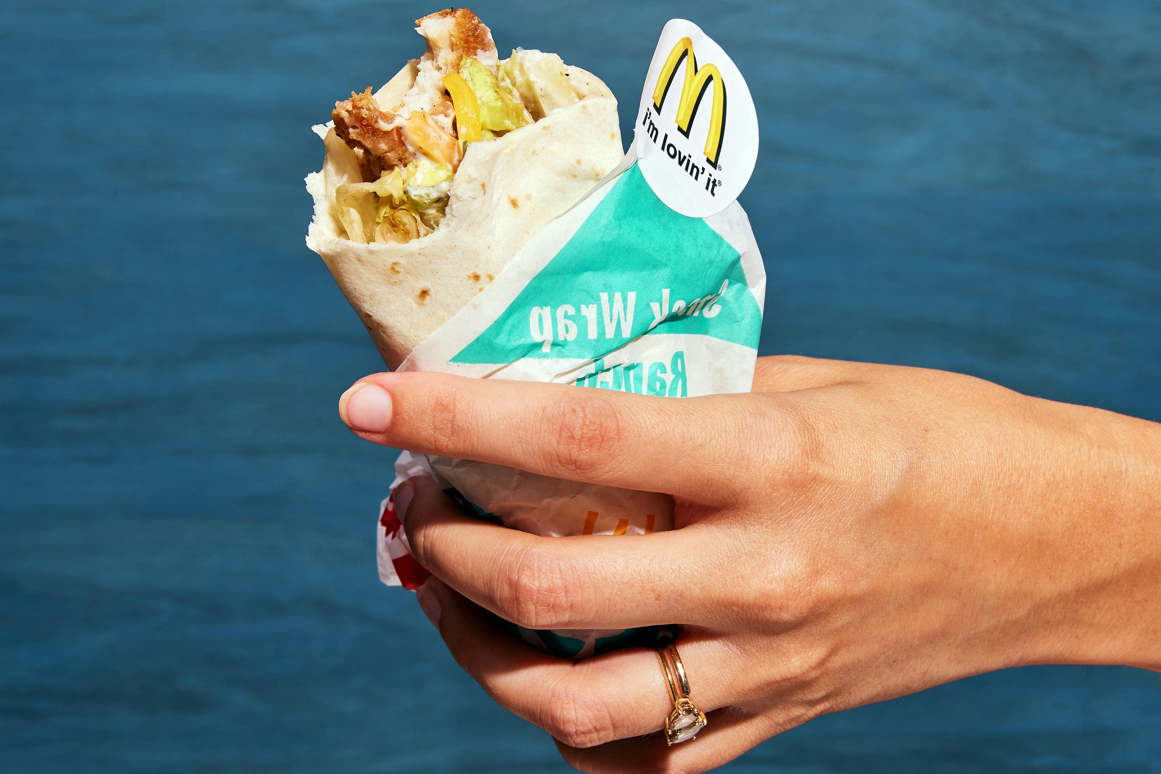 Chicken snack wraps
