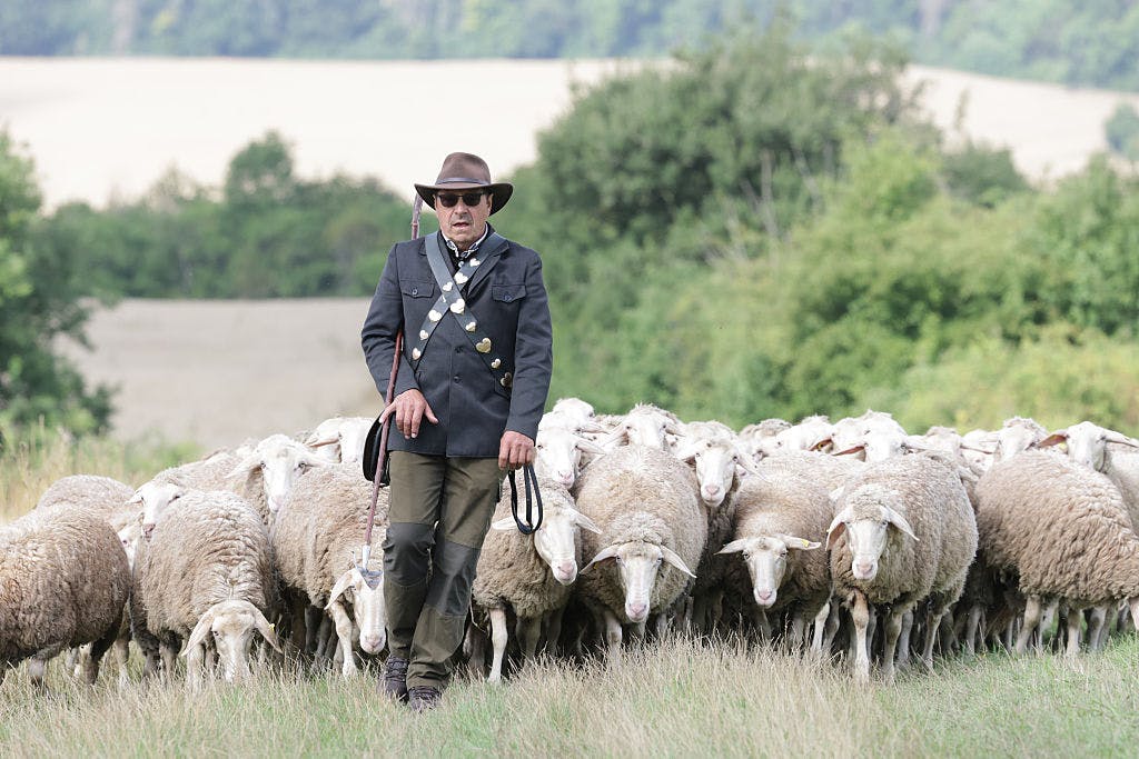 Retail traders are forcing institutional investors into their favorite stocks thumbnail