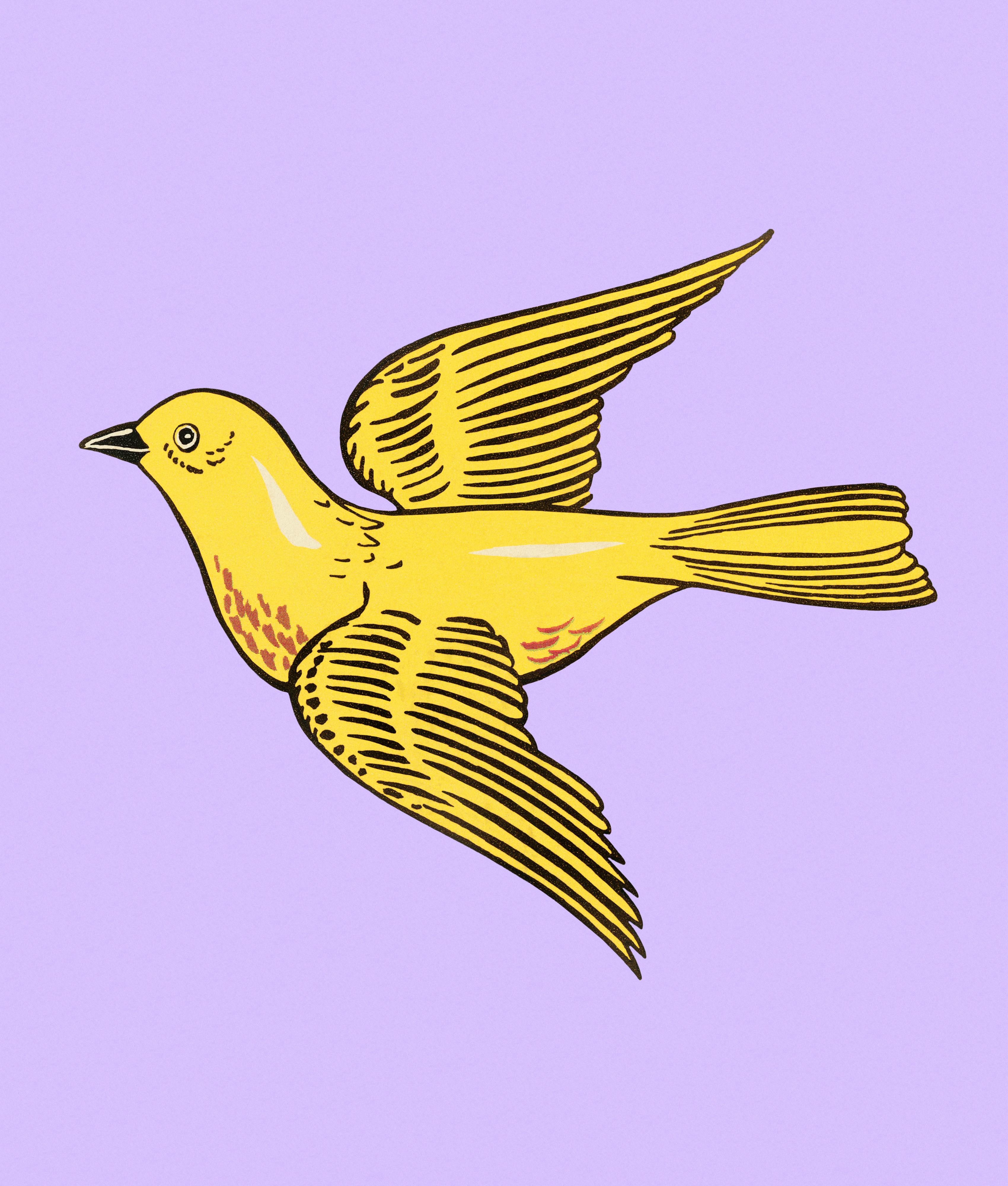 Yellow Bird