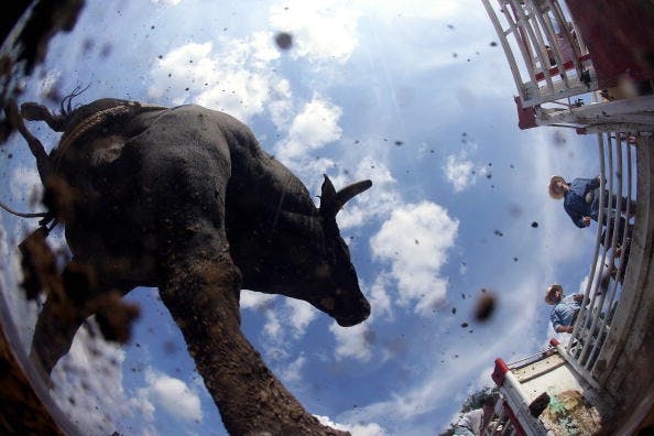 Market wrap: S gain momentum in a four-day winning streak thumbnail