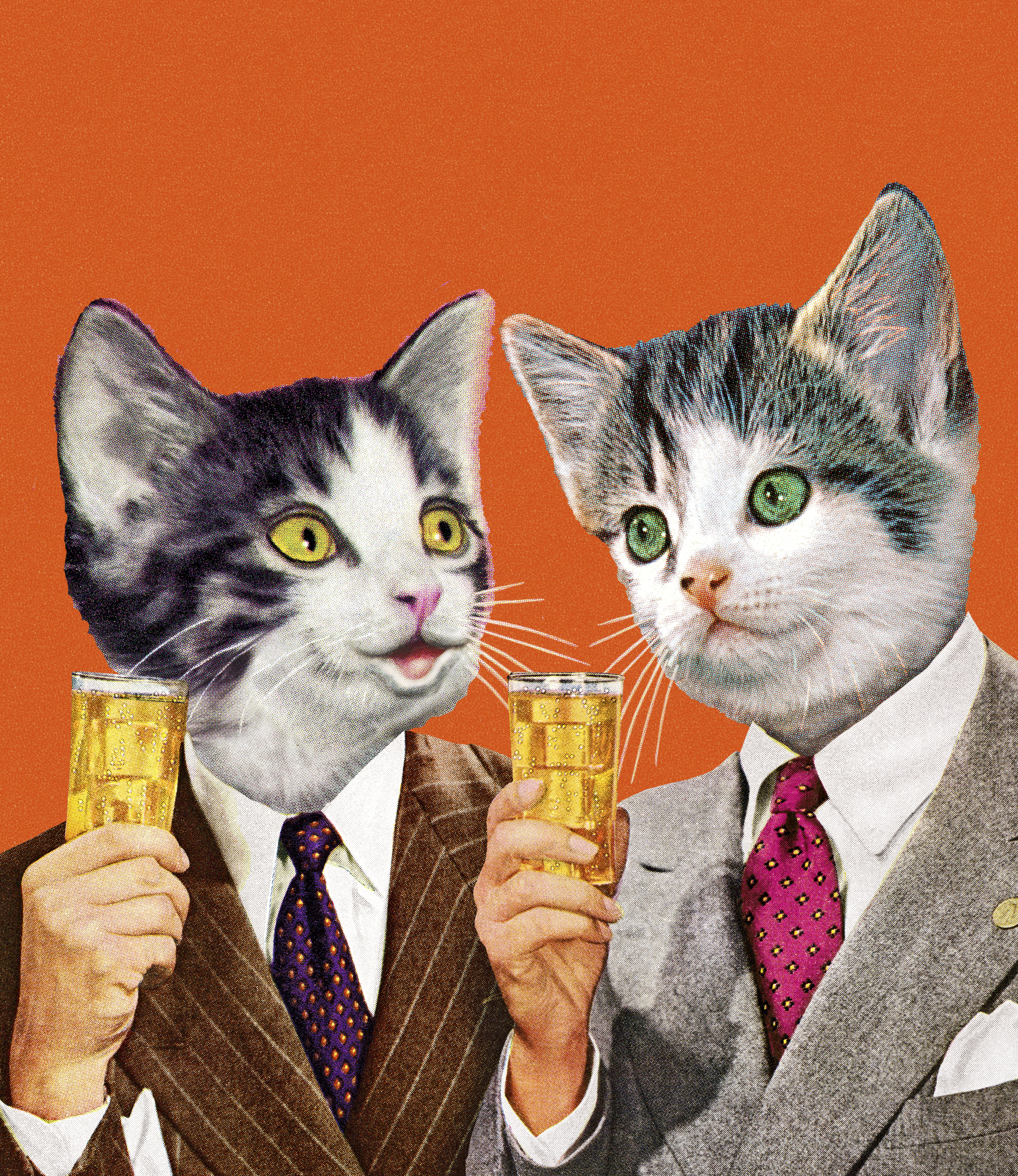 Two Cat Businessmen Holding Drinks