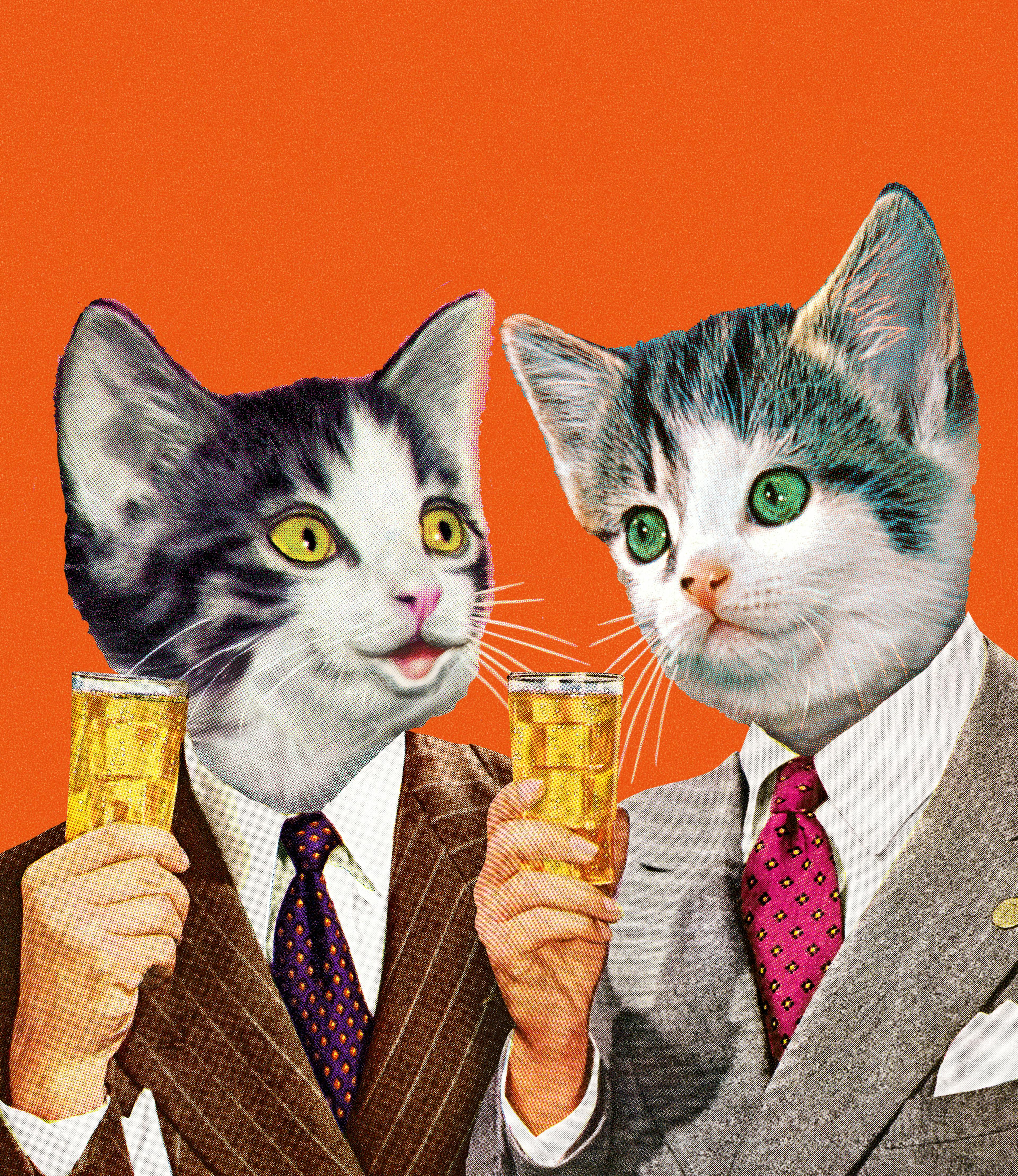 Two Cat Businessmen Holding Drinks