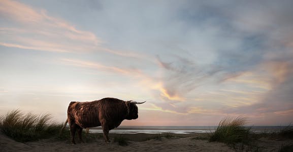 S&P 500, Nasdaq 100 close at records on solid earnings and strong economic data thumbnail