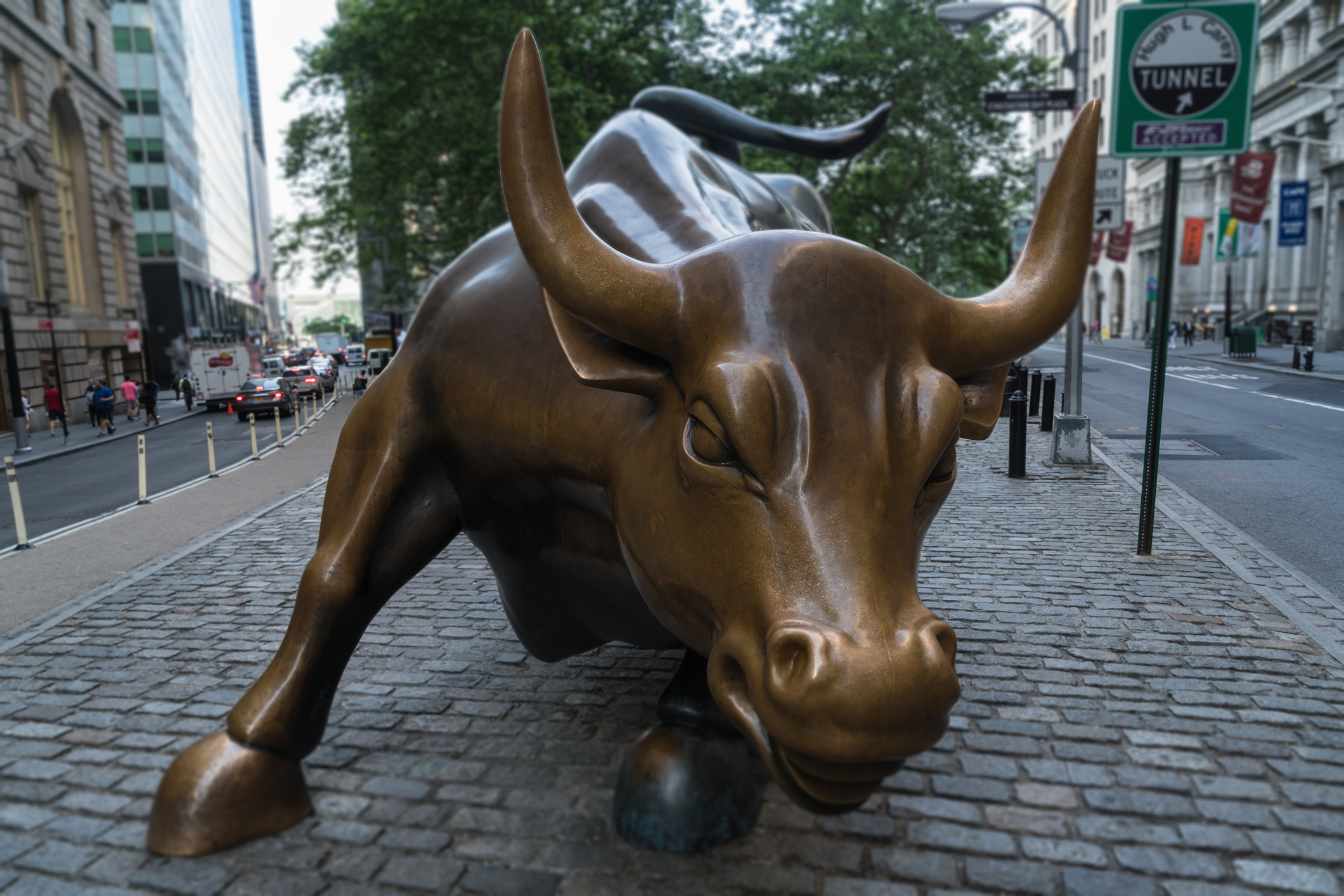 Charging Bull