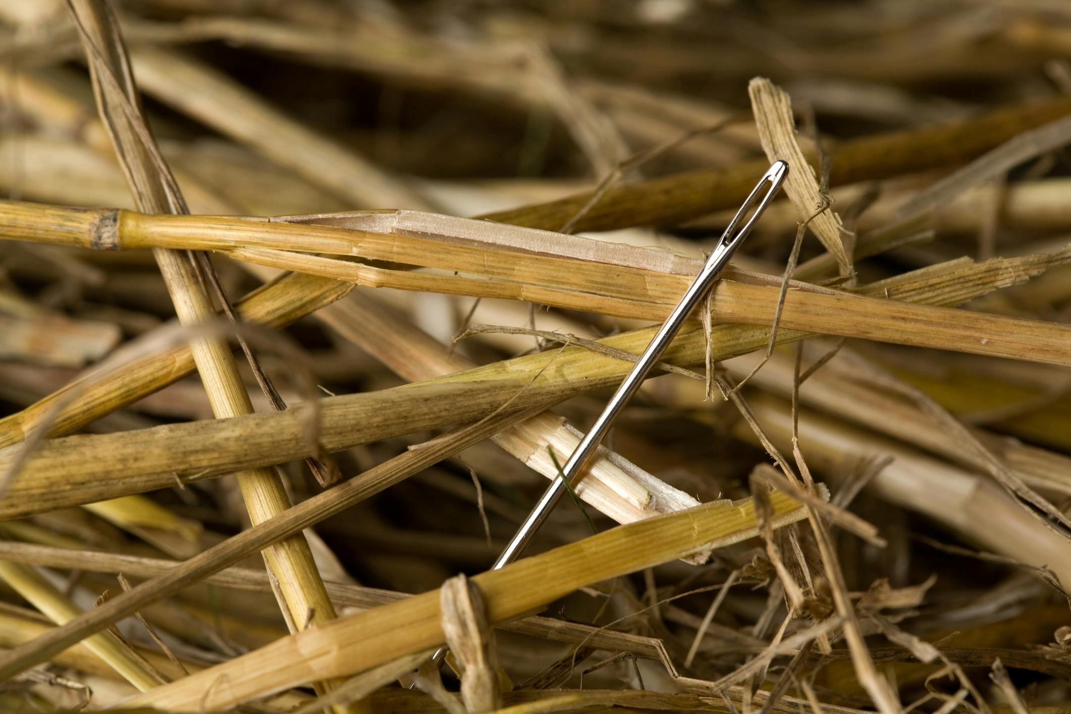 Extreme Closeup of a Needle In A Haystack