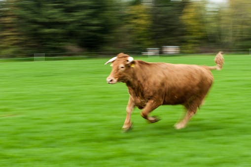 US stocks grind higher as volatility dissipates thumbnail