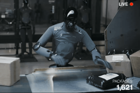 image_0008.gif