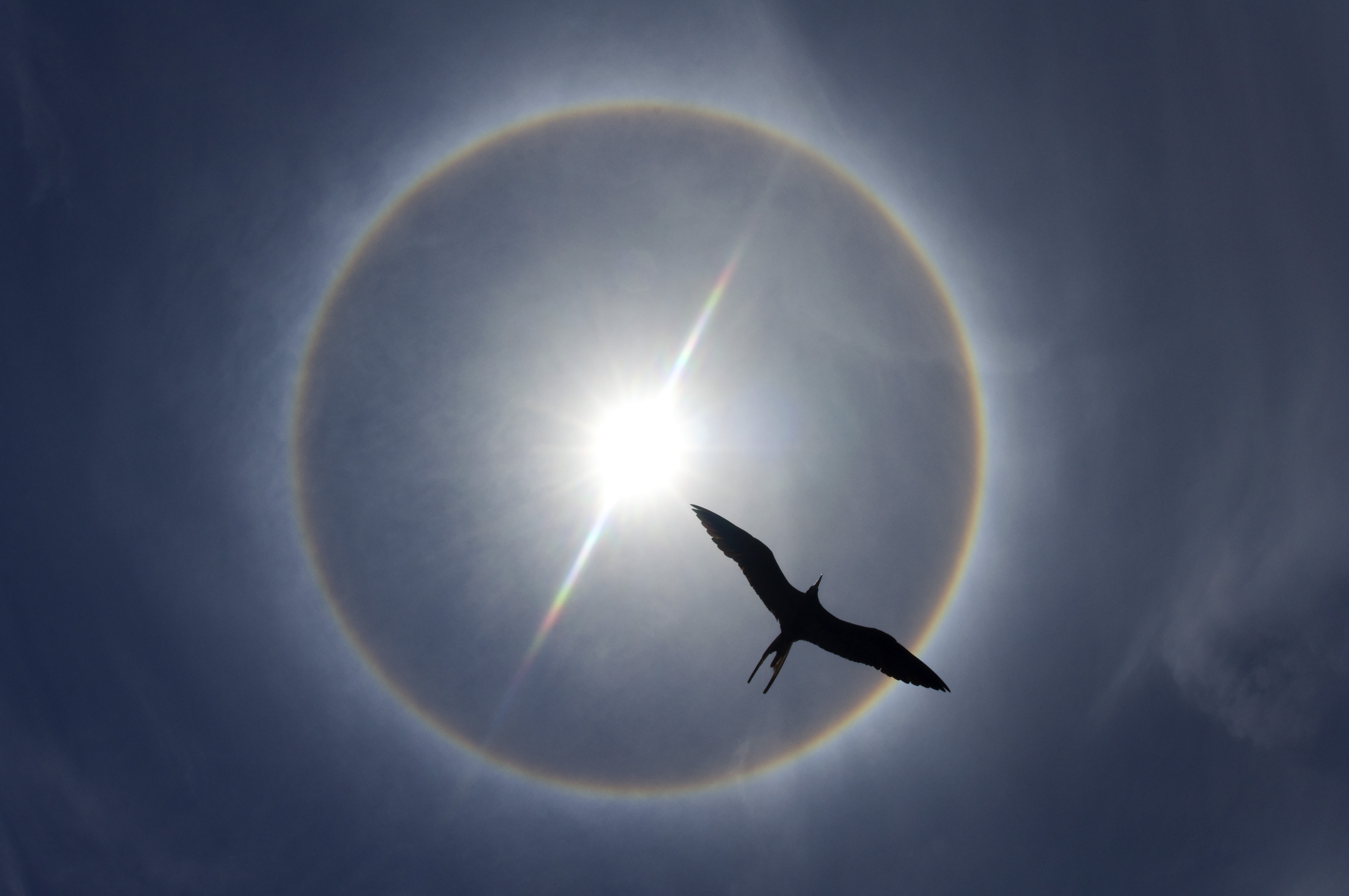 Halo of the sun