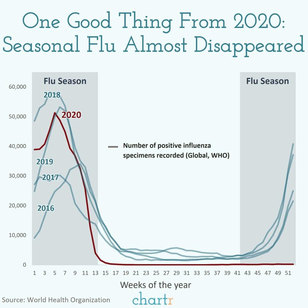 Seasonal flu: How cases of flu have almost disappeared thumbnail