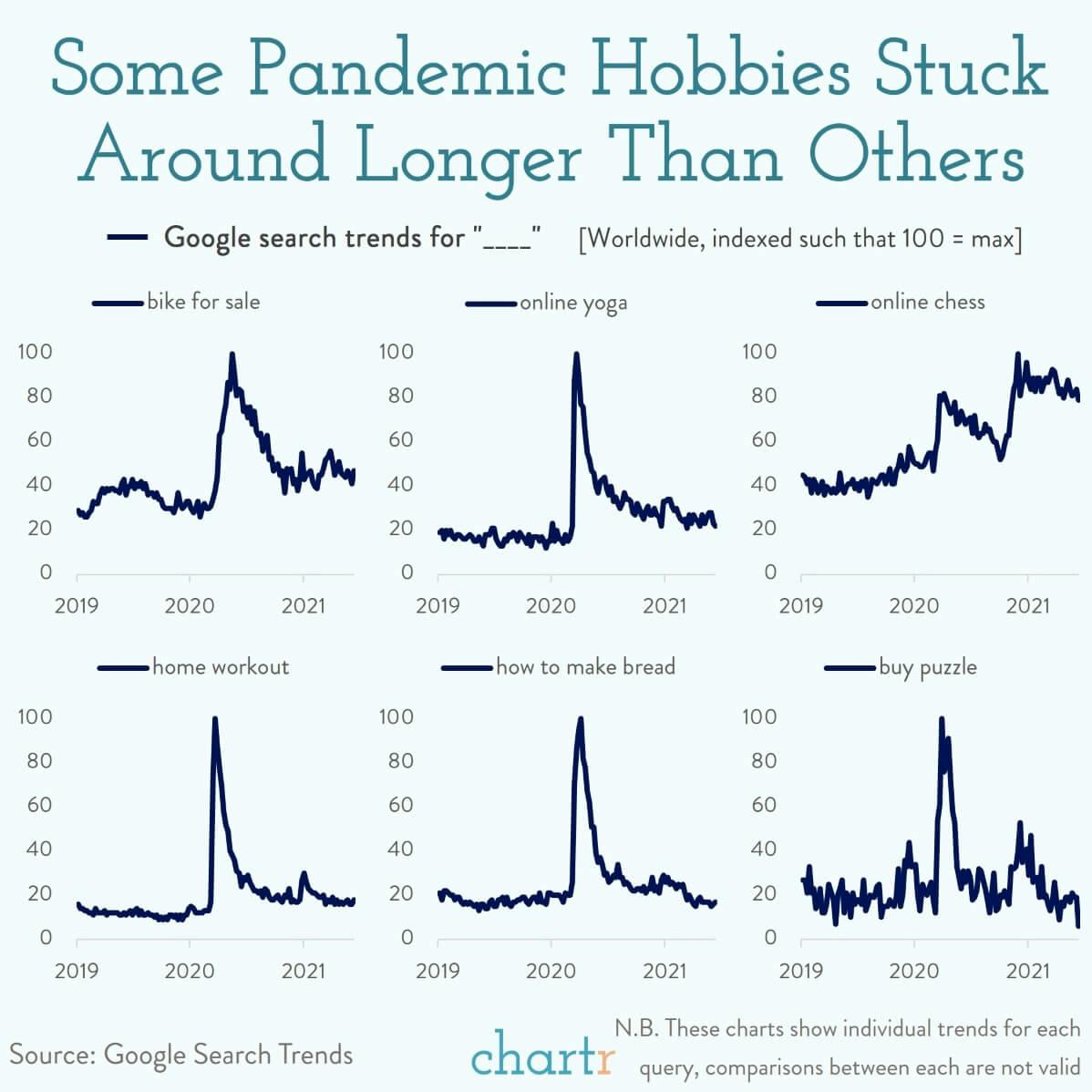 Pandemic hobbies: Some have stuck around longer than others thumbnail