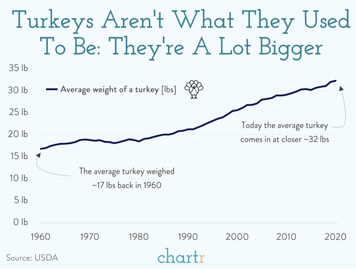 Turkeys: They just keep getting bigger and bigger thumbnail